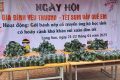 NGÀY HỘI “GIA ĐÌNH YÊU THƯƠNG- TẾT SUM VẦY QUÊ EM